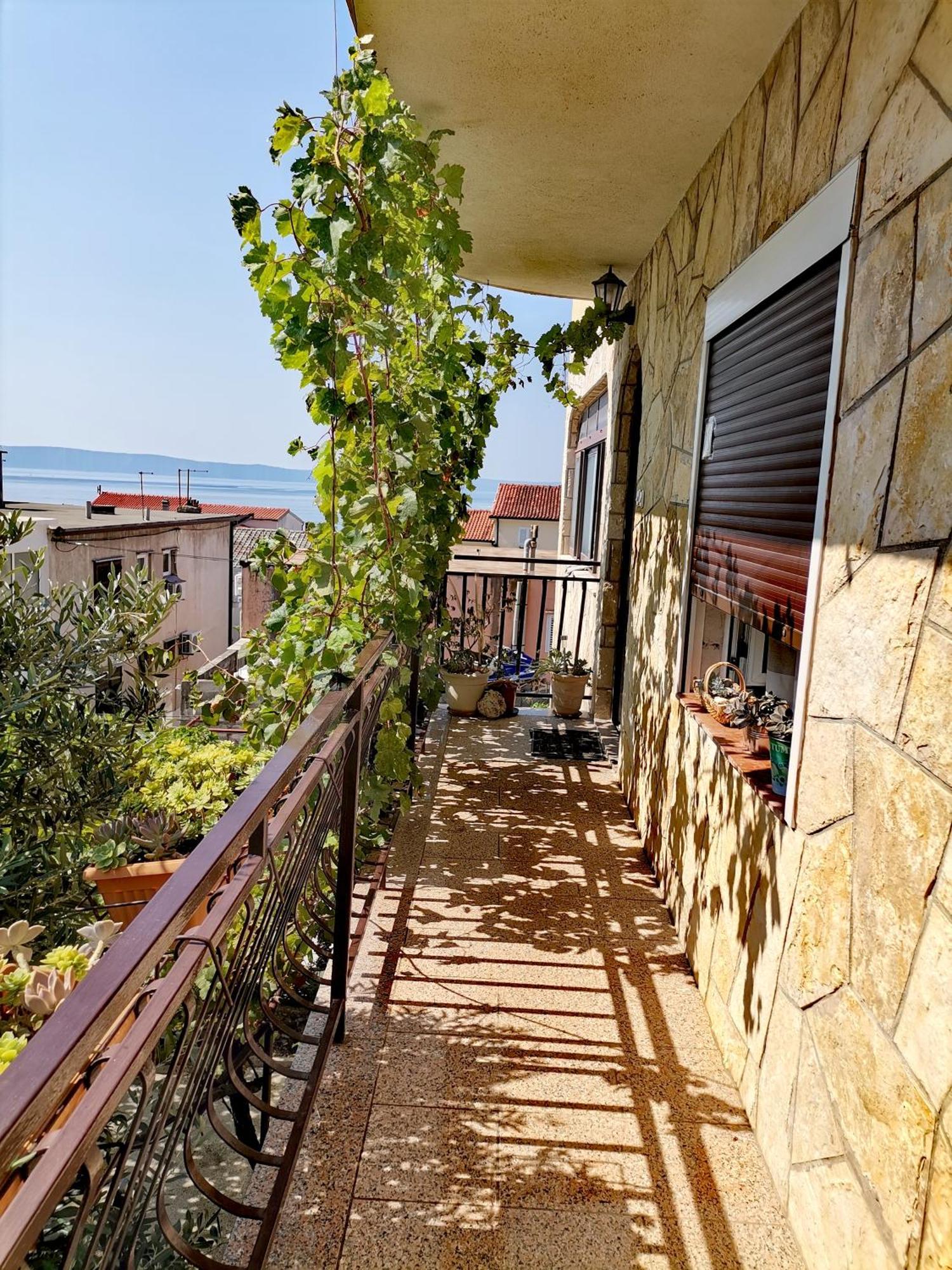 Villa Mia Makarska Exterior photo